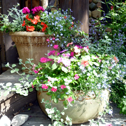 Planters